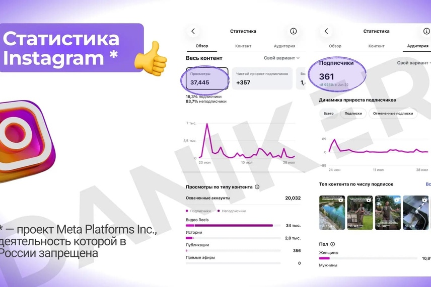 статистика инстаграм *